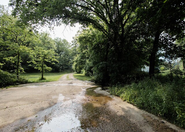 19429 E State Highway 14, Ava, MO 65608 - view of dirt / gravel road