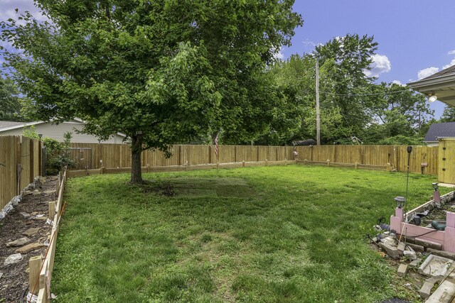 1605 S Meadowview Ave, Springfield, MO 65804 - view of yard