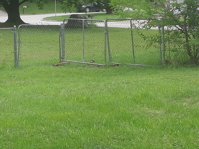 2504 N Clayton Ave, Springfield, MO 65803 - view of yard