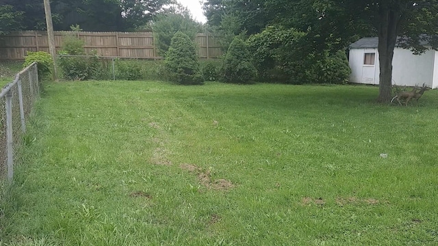 2504 N Clayton Ave, Springfield, MO 65803 - view of yard