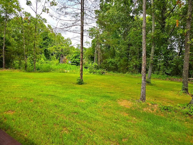 107 Dogwood St, Cabool, MO 65689 - photo 27