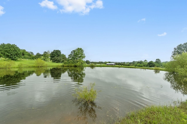401 Honeysuckle Dr, Marshfield, MO 65706 - water view