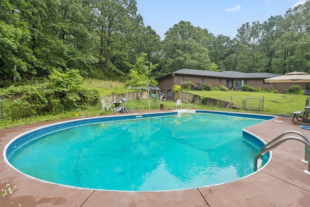 401 Honeysuckle Dr, Marshfield, MO 65706 - view of swimming pool featuring a patio area