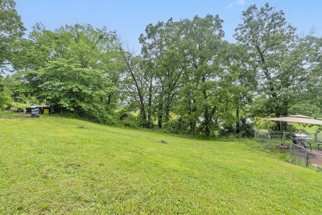 401 Honeysuckle Dr, Marshfield, MO 65706 - view of yard