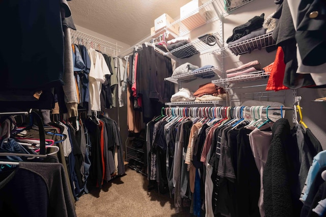 248 Charles Rd, Billings, MO 65610 - walk in closet with carpet floors