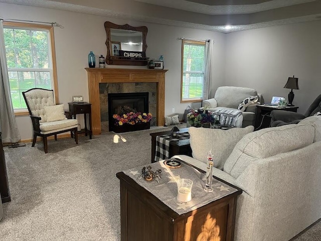 4120 S 119th Rd, Bolivar, MO 65613 - carpeted living room with a fireplace