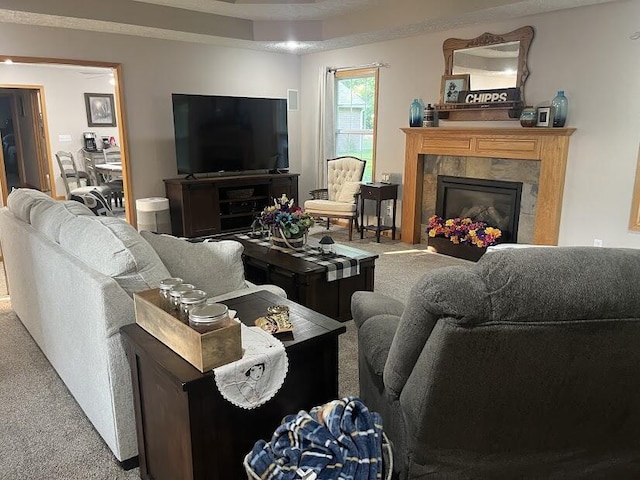 4120 S 119th Rd, Bolivar, MO 65613 - living area featuring carpet and a high end fireplace