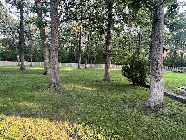 4120 S 119th Rd, Bolivar, MO 65613 - view of yard