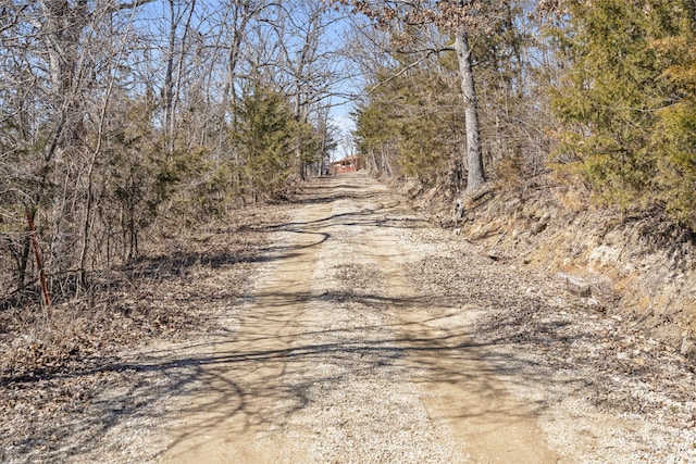 25451 County Road 327, Urbana, MO 65767 - view of dirt / gravel road