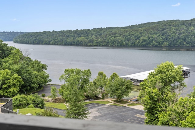 150 Sunken Forest Dr Unit 106, Forsyth, MO 65653 - water view with a forest