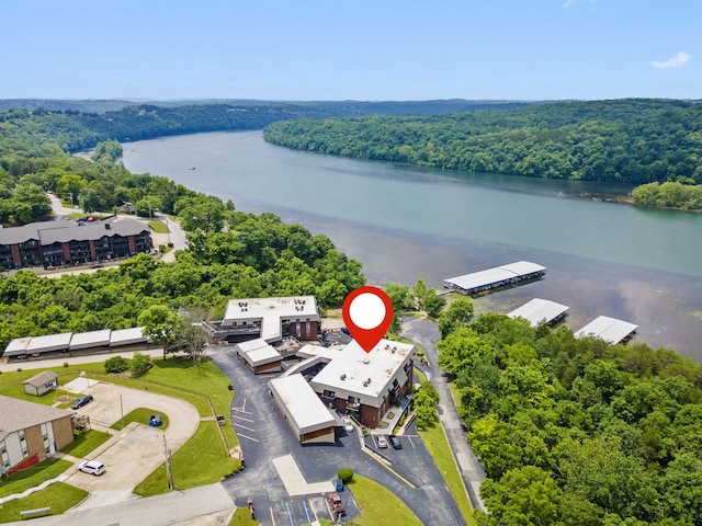 150 Sunken Forest Dr Unit 106, Forsyth, MO 65653 - aerial view of a heavily wooded area and a nearby body of water