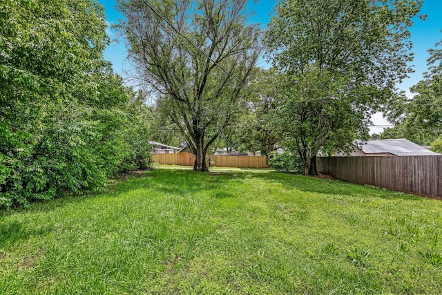 318 W Olive St, Aurora, MO 65605 - view of yard