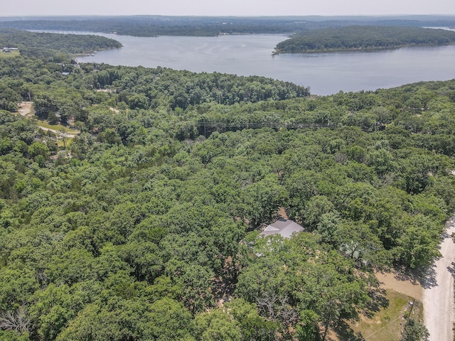 25832 County Road 250, Hermitage, MO 65668 - aerial view of a forest and a nearby body of water