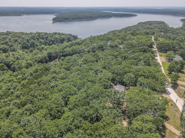 25832 County Road 250, Hermitage, MO 65668 - aerial view of a forest and a nearby body of water