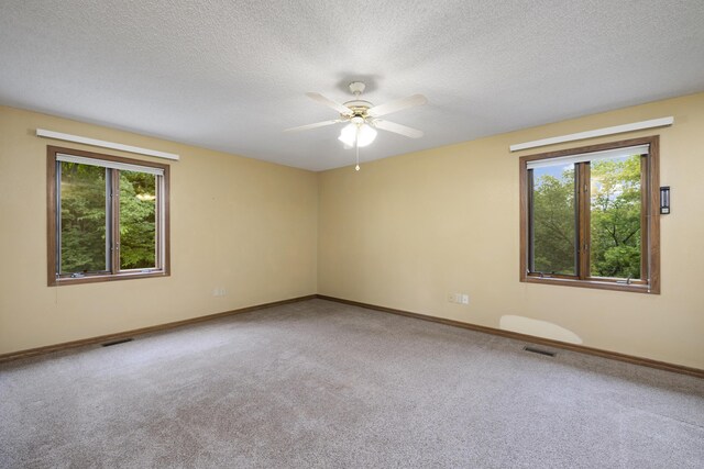 161 Candlewood Ln, Lampe, MO 65681 - photo 22