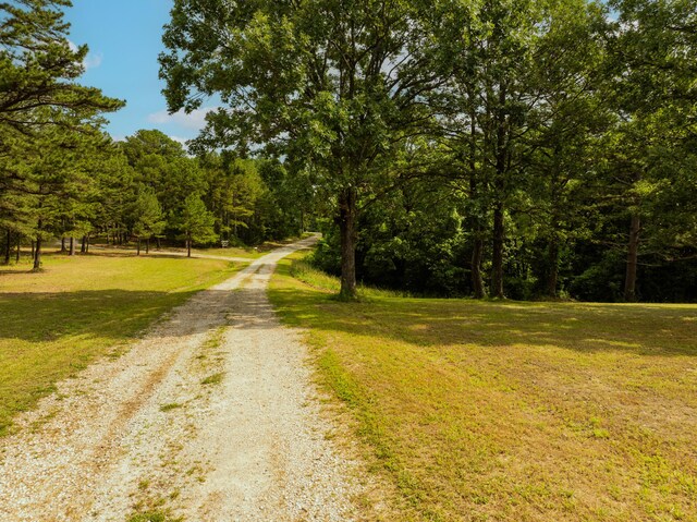 161 Candlewood Ln, Lampe, MO 65681 - photo 69
