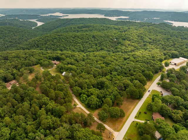 161 Candlewood Ln, Lampe, MO 65681 - photo 75