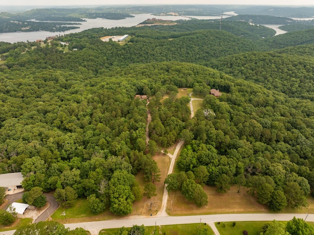 161 Candlewood Ln, Lampe, MO 65681 - photo 74