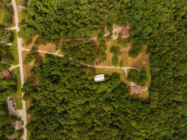 161 Candlewood Ln, Lampe, MO 65681 - photo 73