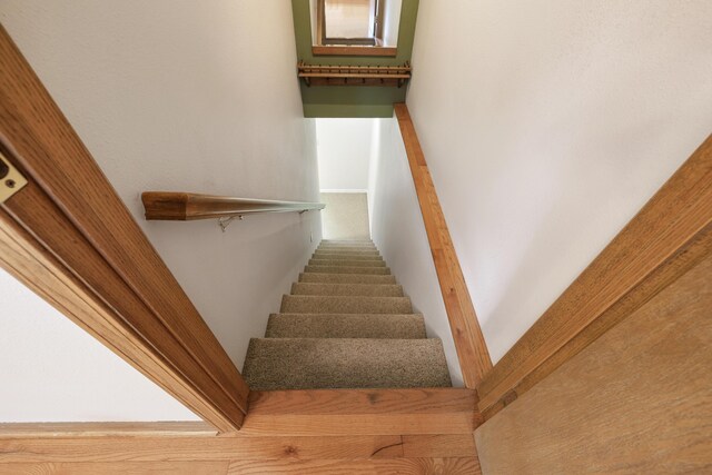 161 Candlewood Ln, Lampe, MO 65681 - photo 32