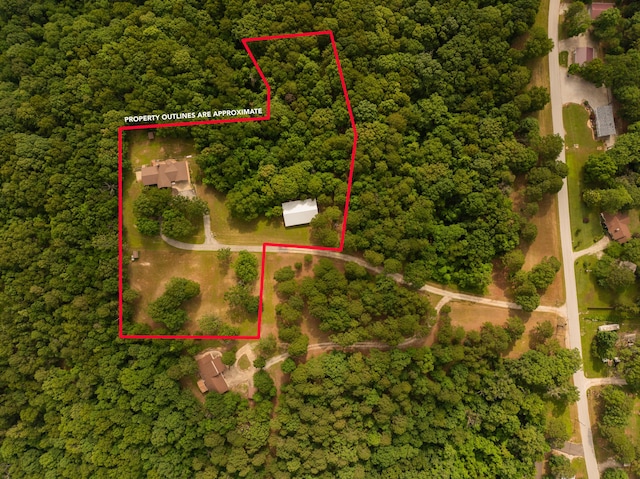 161 Candlewood Ln, Lampe, MO 65681 - photo 76