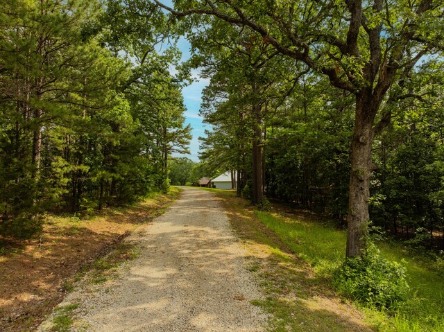 161 Candlewood Ln, Lampe, MO 65681 - photo 70