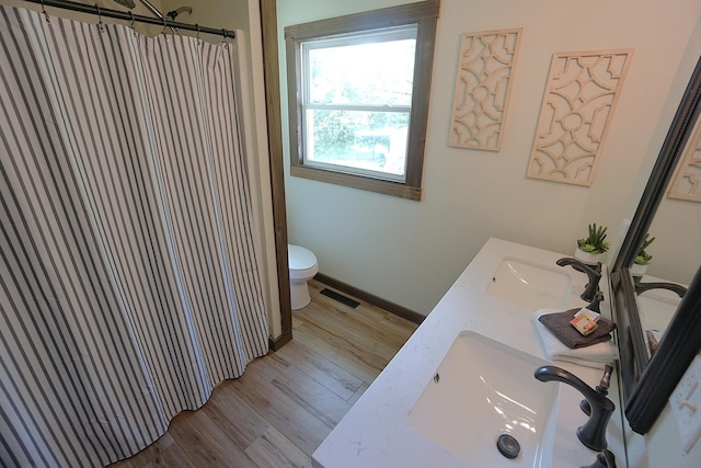 20770 State Highway 76, Cassville, MO 65625 - bathroom featuring toilet, wood finished floors, baseboards, and double vanity