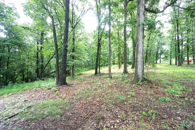 20770 State Highway 76, Cassville, MO 65625 - view of woods