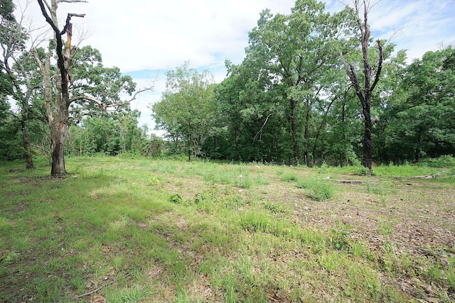 20770 State Highway 76, Cassville, MO 65625 - view of woods