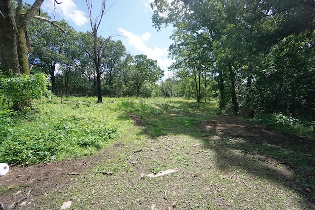 20770 State Highway 76, Cassville, MO 65625 - view of nature