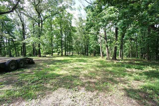 20770 State Highway 76, Cassville, MO 65625 - view of yard with a wooded view
