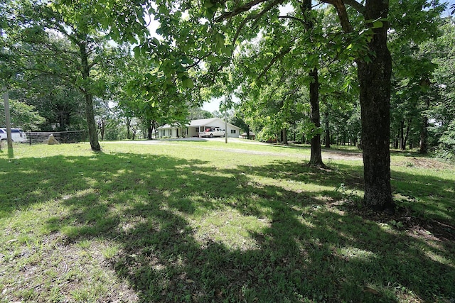 20770 State Highway 76, Cassville, MO 65625 - view of yard