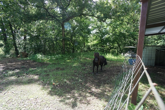 20770 State Highway 76, Cassville, MO 65625 - view of yard