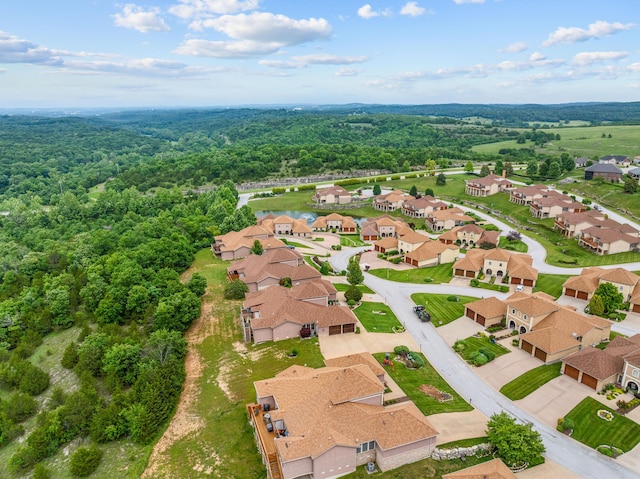 115 N Tuscany Dr, Hollister, MO 65672 - photo 37