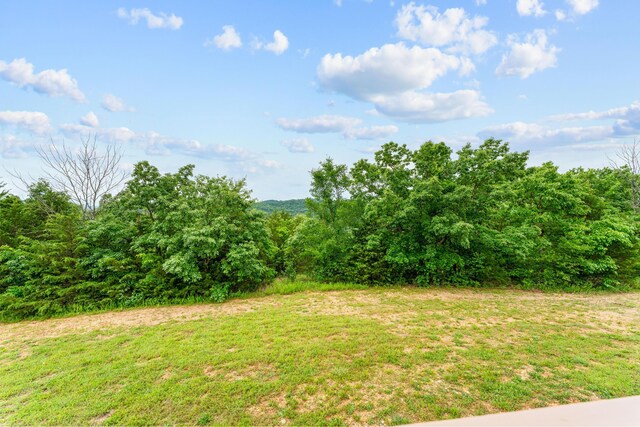 115 N Tuscany Dr, Hollister, MO 65672 - photo 33