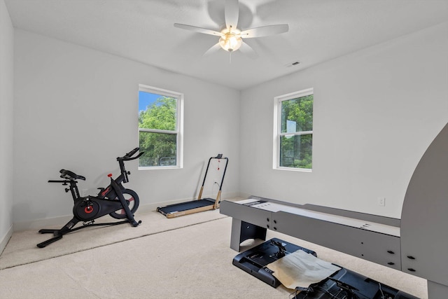 176 Shooting Star Ln, Nixa, MO 65714 - workout area featuring plenty of natural light, baseboards, and a ceiling fan