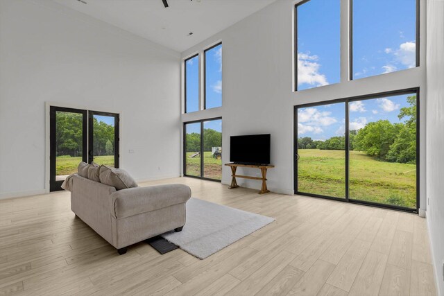 176 Shooting Star Ln, Nixa, MO 65714 - living area featuring high vaulted ceiling and light wood-type flooring