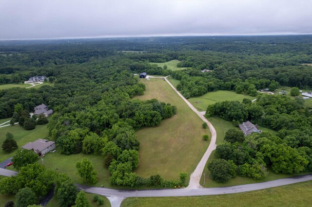 176 Shooting Star Ln, Nixa, MO 65714 - aerial view of a forest