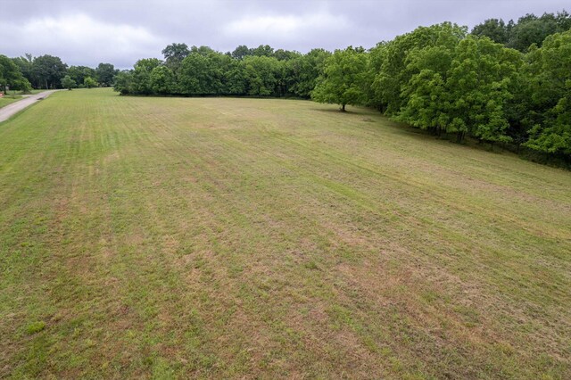 176 Shooting Star Ln, Nixa, MO 65714 - view of grassy yard