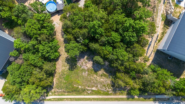 119 Cottonwood Cir, Branson, MO 65616