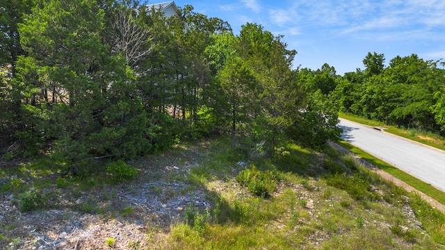 119 Cottonwood Cir, Branson, MO 65616