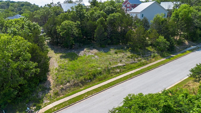 119 Cottonwood Cir, Branson, MO 65616