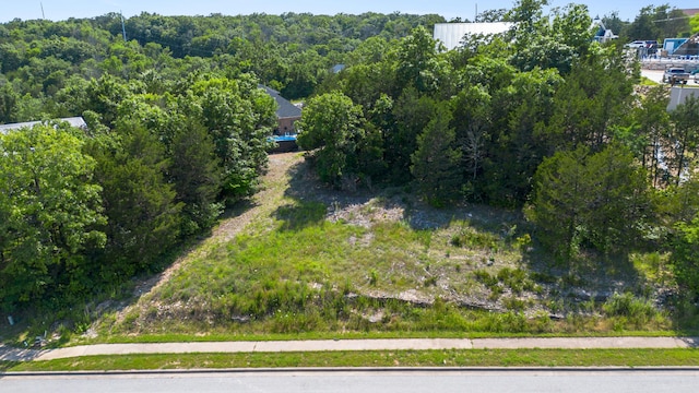 119 Cottonwood Cir, Branson, MO 65616