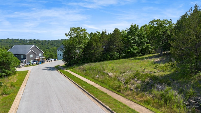 119 Cottonwood Cir, Branson, MO 65616