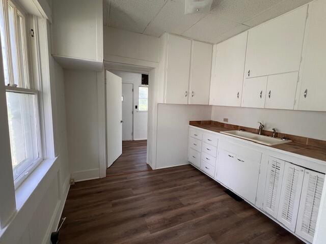 935 W Brower St, Springfield, MO 65802 - kitchen featuring a sink, white cabinets, and dark wood-style flooring