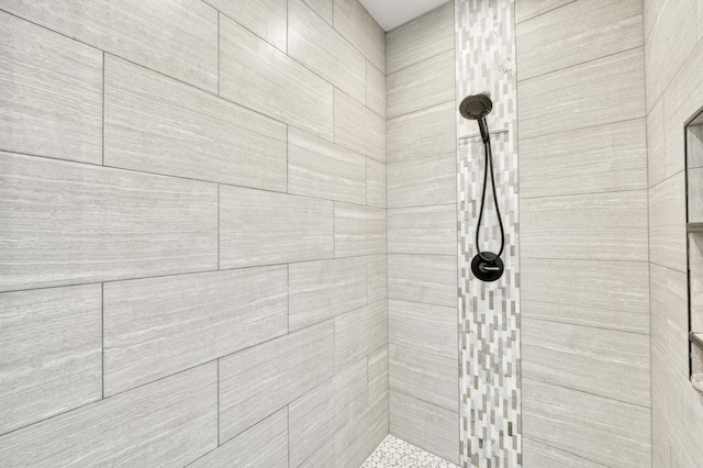 1674 N Marlowe Ave, Springfield, MO 65802 - full bath featuring tiled shower