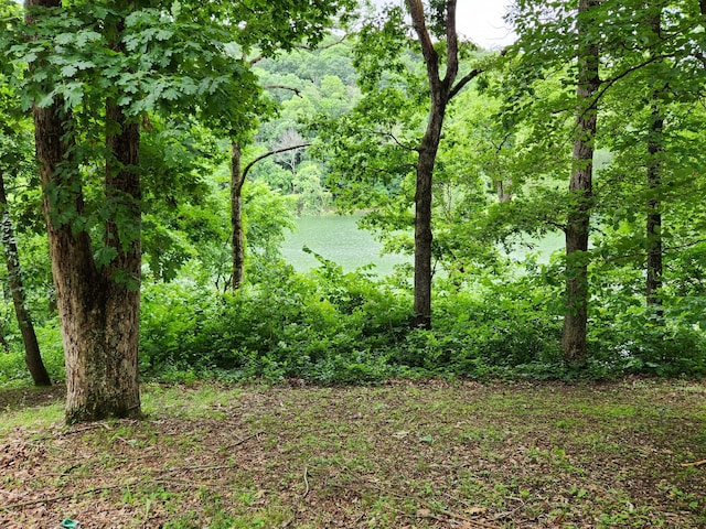 29039 Nottinghill Dr, Shell Knob, MO 65747 - view of woods featuring a water view