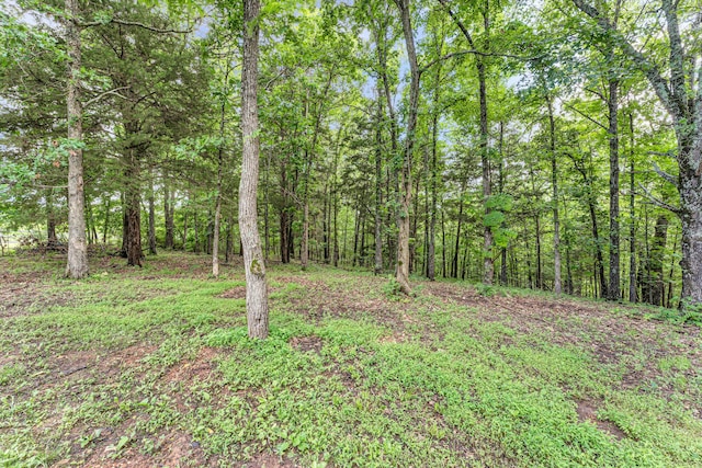 2029 Moon Valley Rd, Ozark, MO 65721 - view of wooded area