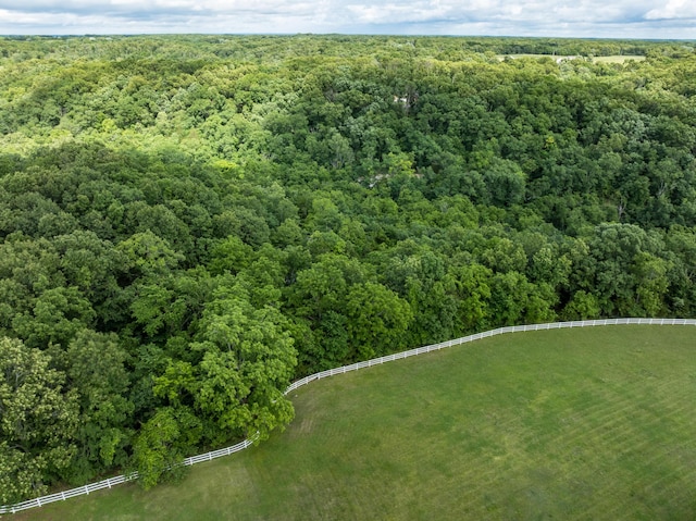 2029 Moon Valley Rd, Ozark, MO 65721 - bird's eye view of a heavily wooded area