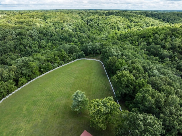 2029 Moon Valley Rd, Ozark, MO 65721 - drone / aerial view of a heavily wooded area